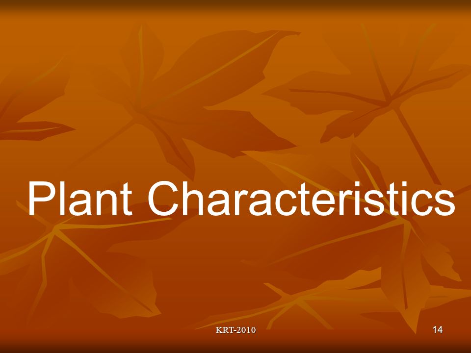 KRT Plant Characteristics