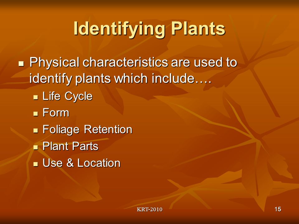 KRT Identifying Plants Physical characteristics are used to identify plants which include….