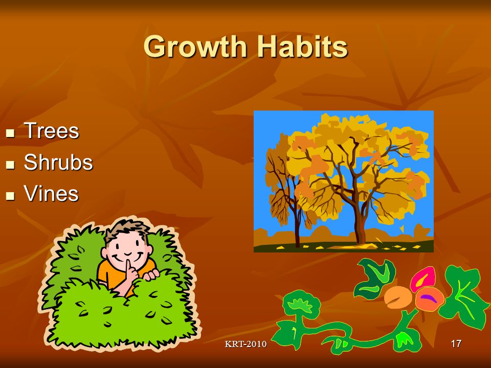 KRT Growth Habits Trees Trees Shrubs Shrubs Vines Vines