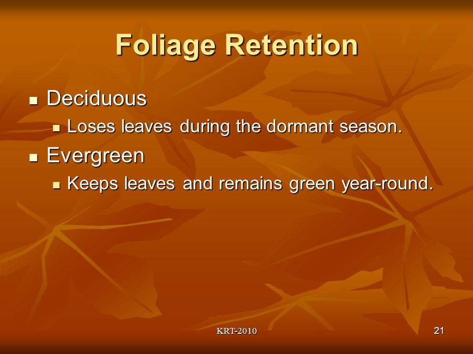 KRT Foliage Retention Deciduous Deciduous Loses leaves during the dormant season.
