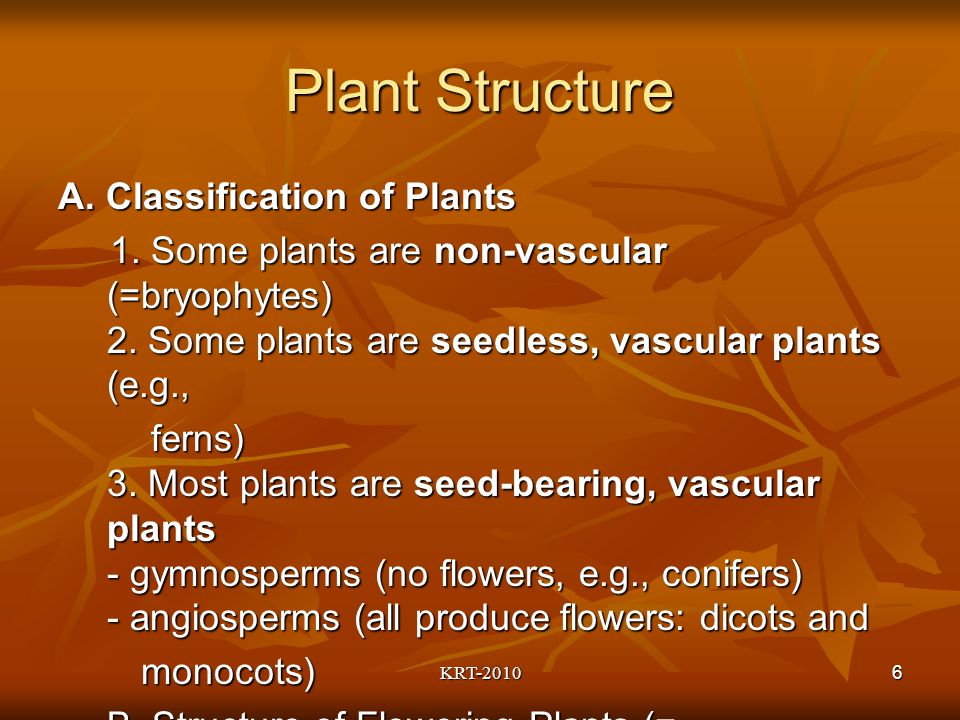 6 Plant Structure A. Classification of Plants 1. Some plants are non-vascular (=bryophytes) 2.