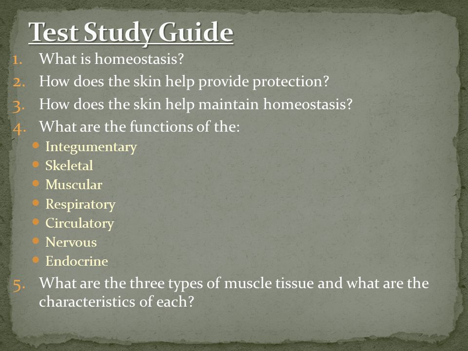 1. What is homeostasis. 2. How does the skin help provide protection.
