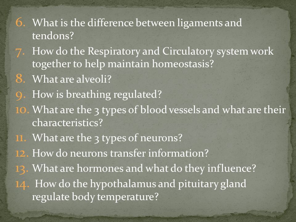 6. What is the difference between ligaments and tendons.