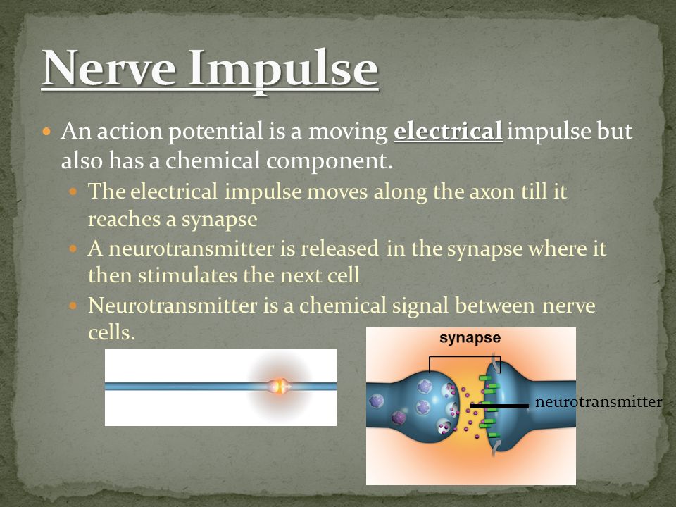 electrical An action potential is a moving electrical impulse but also has a chemical component.