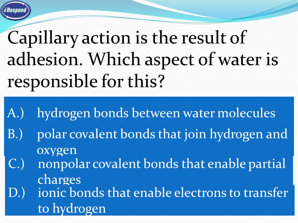 Capillary action is the result of adhesion. Which aspect of water is responsible for this.