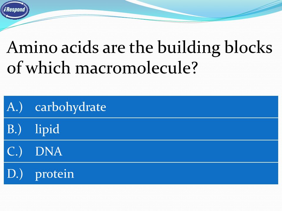 Amino acids are the building blocks of which macromolecule.