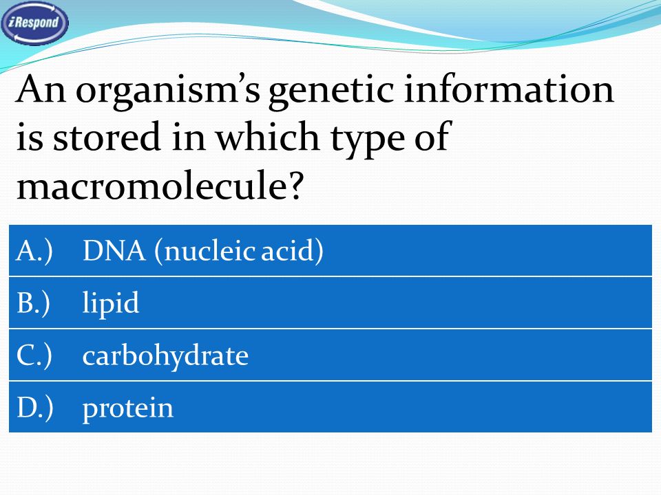 An organism’s genetic information is stored in which type of macromolecule.