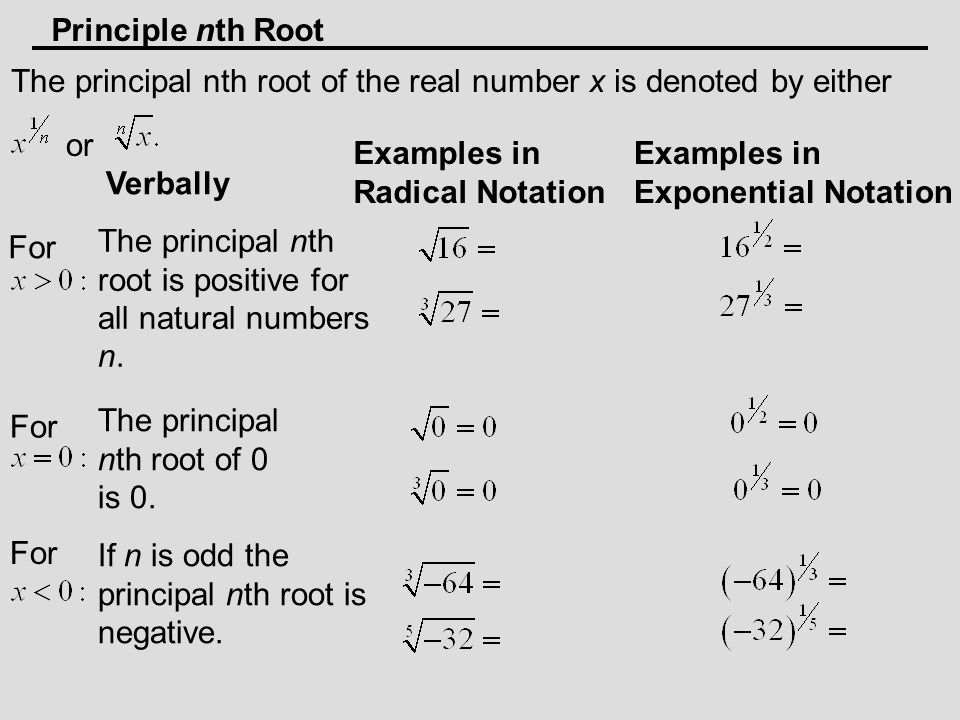 Principle nth Root The principal nth root of the real number x is denoted by either or Verbally For The principal nth root is positive for all natural numbers n.