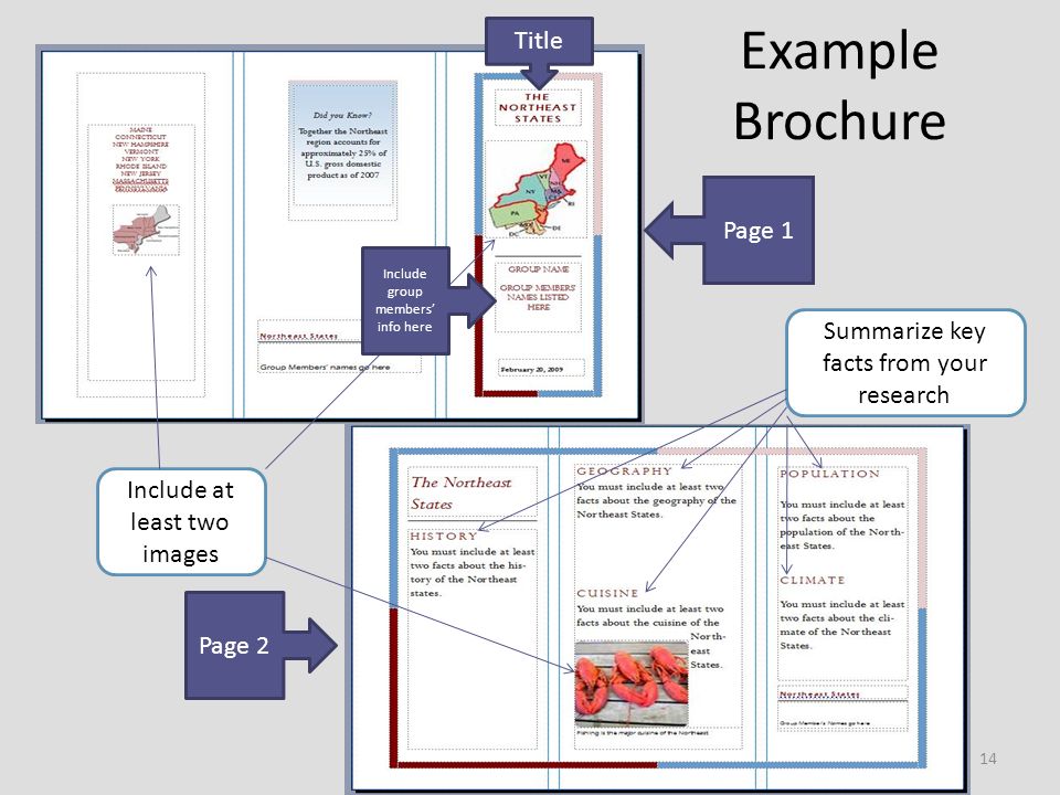 Example Brochure Page 1 Page 2 Include at least two images Summarize key facts from your research Title Include group members’ info here 14