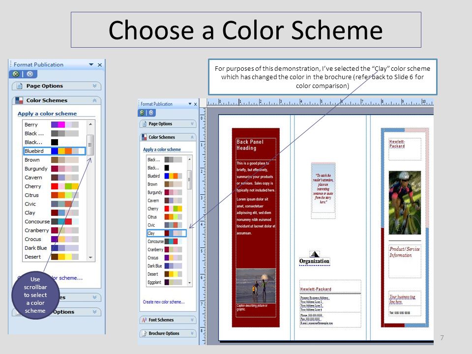Choose a Color Scheme Use scrollbar to select a color scheme For purposes of this demonstration, I’ve selected the Clay color scheme which has changed the color in the brochure (refer back to Slide 6 for color comparison) 7