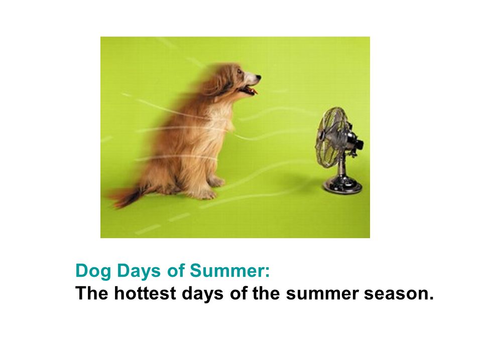 what does the idiom dog days mean