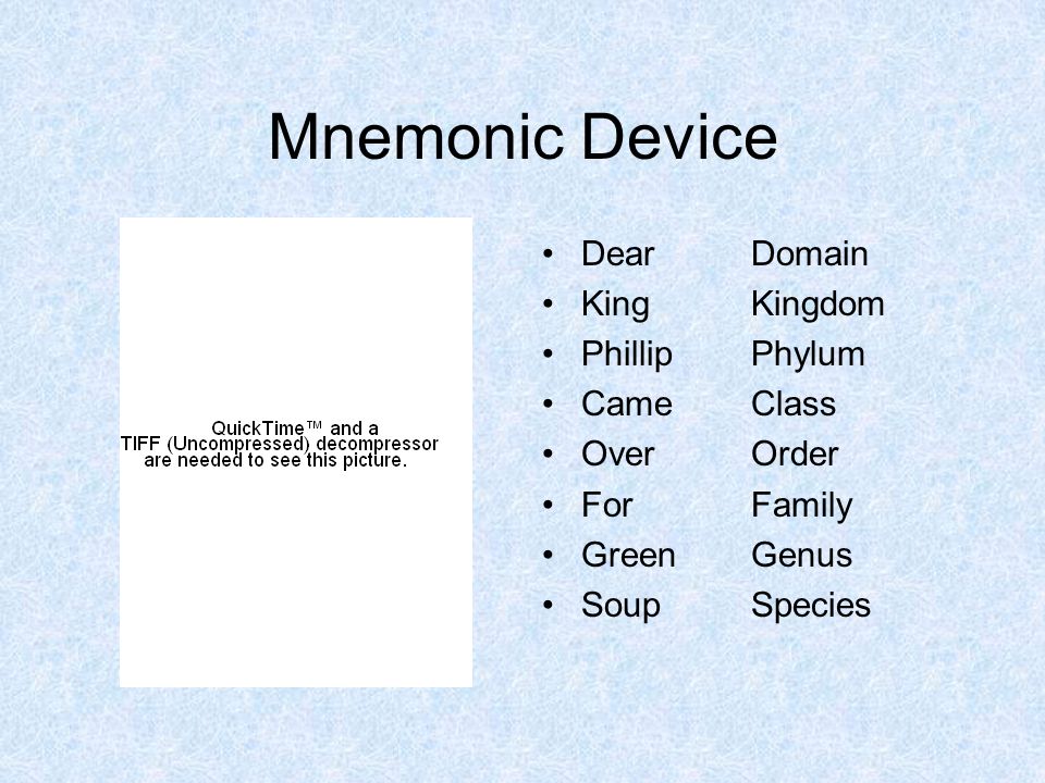 Image result for mnemonic device for taxonomy