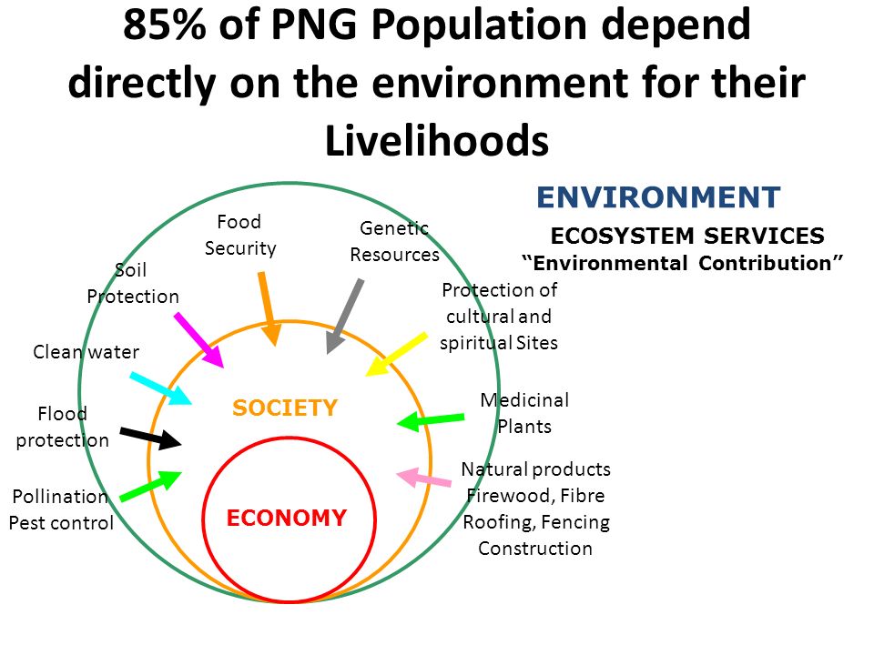 85% of PNG Population depend directly on the environment for their Livelihoods ENVIRONMENT SOCIETY ECONOMY Clean water Food Security Protection of cultural and spiritual Sites ECOSYSTEM SERVICES Environmental Contribution Soil Protection Medicinal Plants Natural products Firewood, Fibre Roofing, Fencing Construction Flood protection Pollination Pest control Genetic Resources