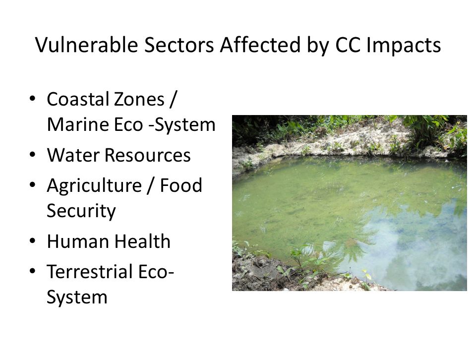 Vulnerable Sectors Affected by CC Impacts Coastal Zones / Marine Eco -System Water Resources Agriculture / Food Security Human Health Terrestrial Eco- System