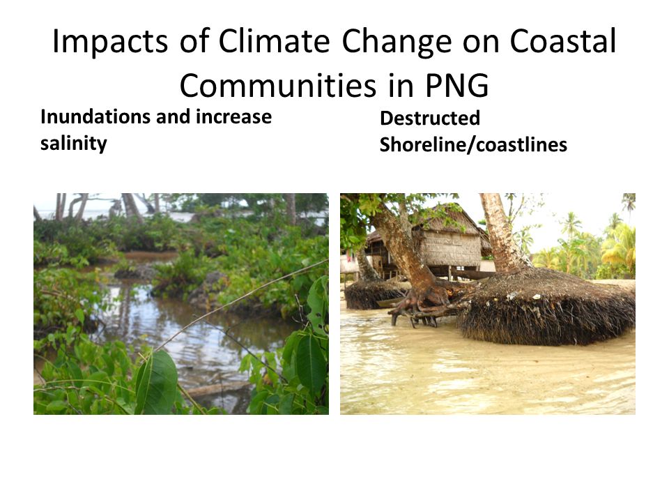 Impacts of Climate Change on Coastal Communities in PNG Inundations and increase salinity Destructed Shoreline/coastlines