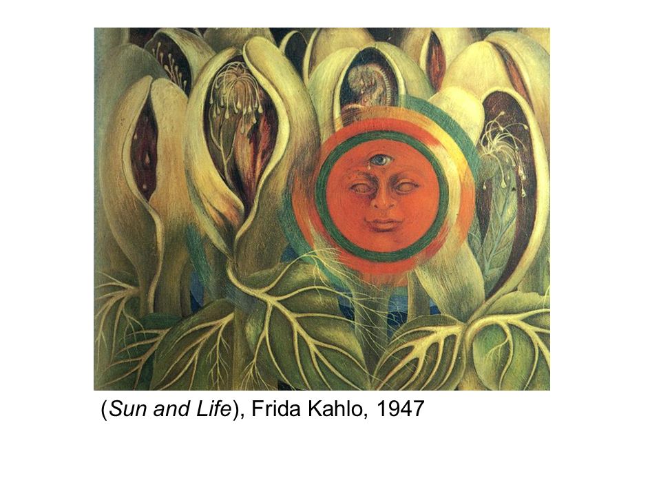 (Sun and Life), Frida Kahlo, 1947