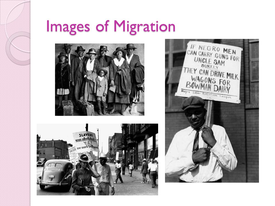 Images of Migration