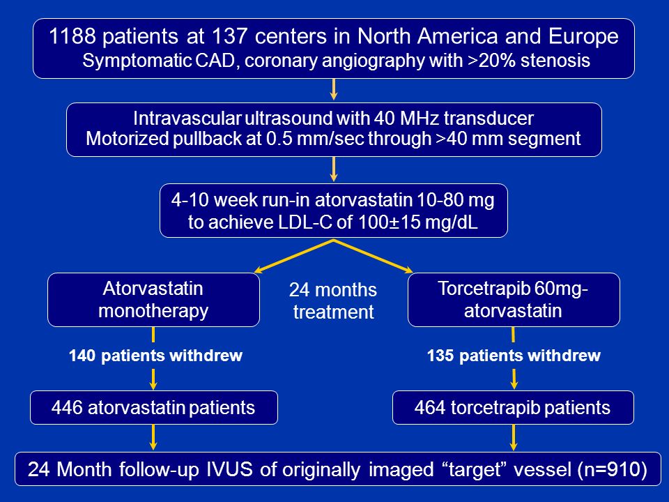 446 atorvastatin patients464 torcetrapib patients 135 patients withdrew140 patients withdrew 24 Month follow-up IVUS of originally imaged target vessel (n=910) 4-10 week run-in atorvastatin mg to achieve LDL-C of 100±15 mg/dL Intravascular ultrasound with 40 MHz transducer Motorized pullback at 0.5 mm/sec through >40 mm segment 1188 patients at 137 centers in North America and Europe Symptomatic CAD, coronary angiography with >20% stenosis Atorvastatin monotherapy Torcetrapib 60mg- atorvastatin 24 months treatment