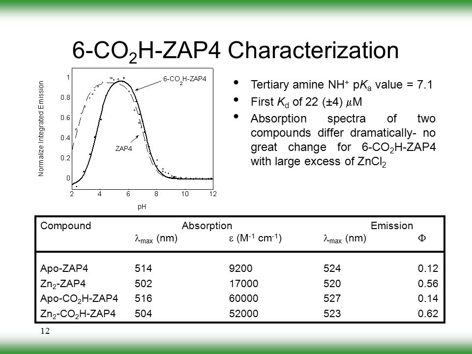 12 6-CO 2 H-ZAP4 Characterization CompoundAbsorptionEmission max (nm)  (M -1 cm -1 ) max (nm)  Apo-ZAP Zn 2 -ZAP Apo-CO 2 H-ZAP Zn 2 -CO 2 H-ZAP Tertiary amine NH + pK a value = 7.1 First K d of 22 (±4)  M Absorption spectra of two compounds differ dramatically- no great change for 6-CO 2 H-ZAP4 with large excess of ZnCl 2