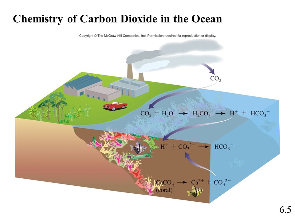 6.5 Chemistry of Carbon Dioxide in the Ocean
