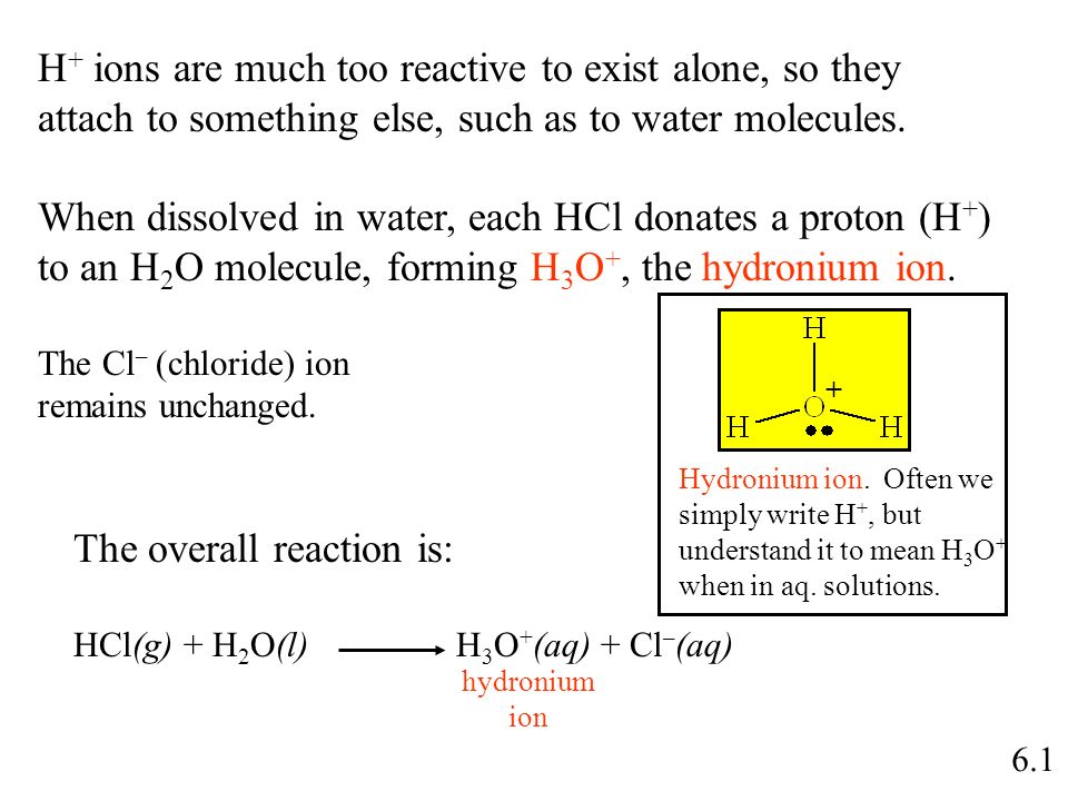 6.1 H + ions are much too reactive to exist alone, so they attach to something else, such as to water molecules.