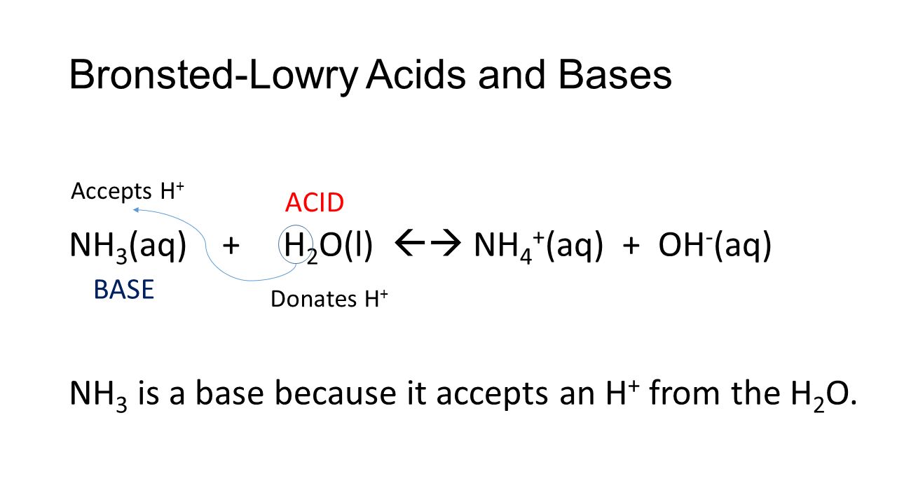 Bronsted-Lowry Acids and Bases NH 3 (aq) + H 2 O(l)  NH 4 + (aq) + OH - (aq) NH 3 is a base because it accepts an H + from the H 2 O.