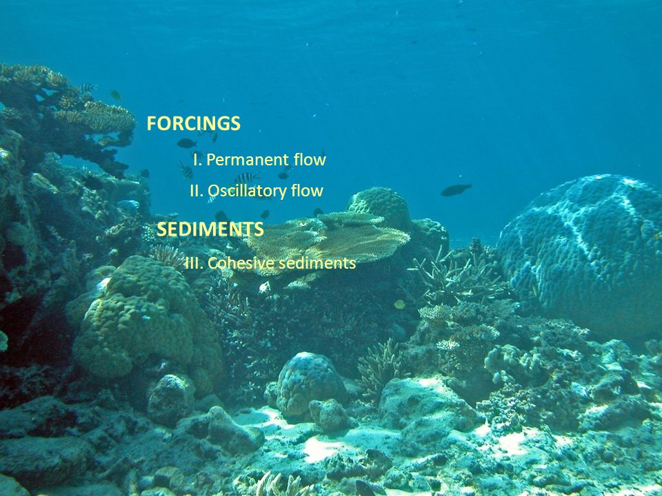 FORCINGS I. Permanent flow II. Oscillatory flow SEDIMENTS III. Cohesive sediments