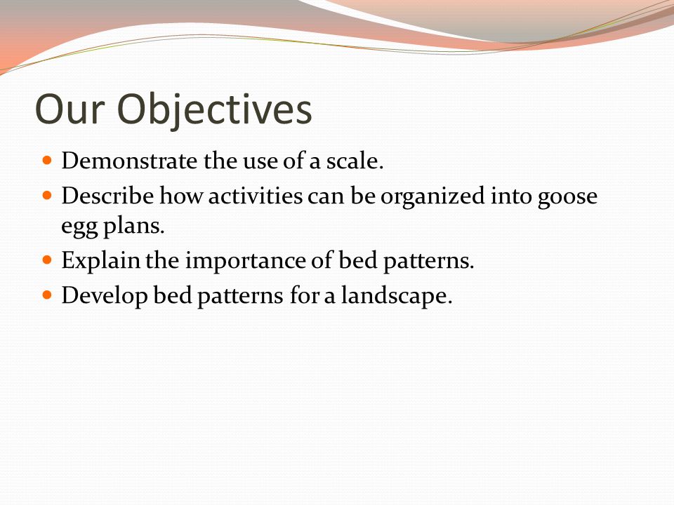 Our Objectives Demonstrate the use of a scale.