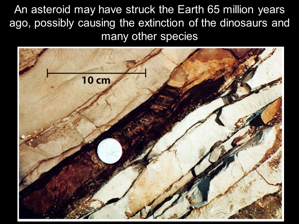 An asteroid may have struck the Earth 65 million years ago, possibly causing the extinction of the dinosaurs and many other species