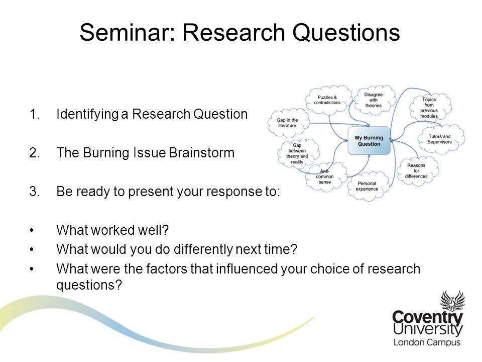 1.Identifying a Research Question 2.The Burning Issue Brainstorm 3.Be ready to present your response to: What worked well.