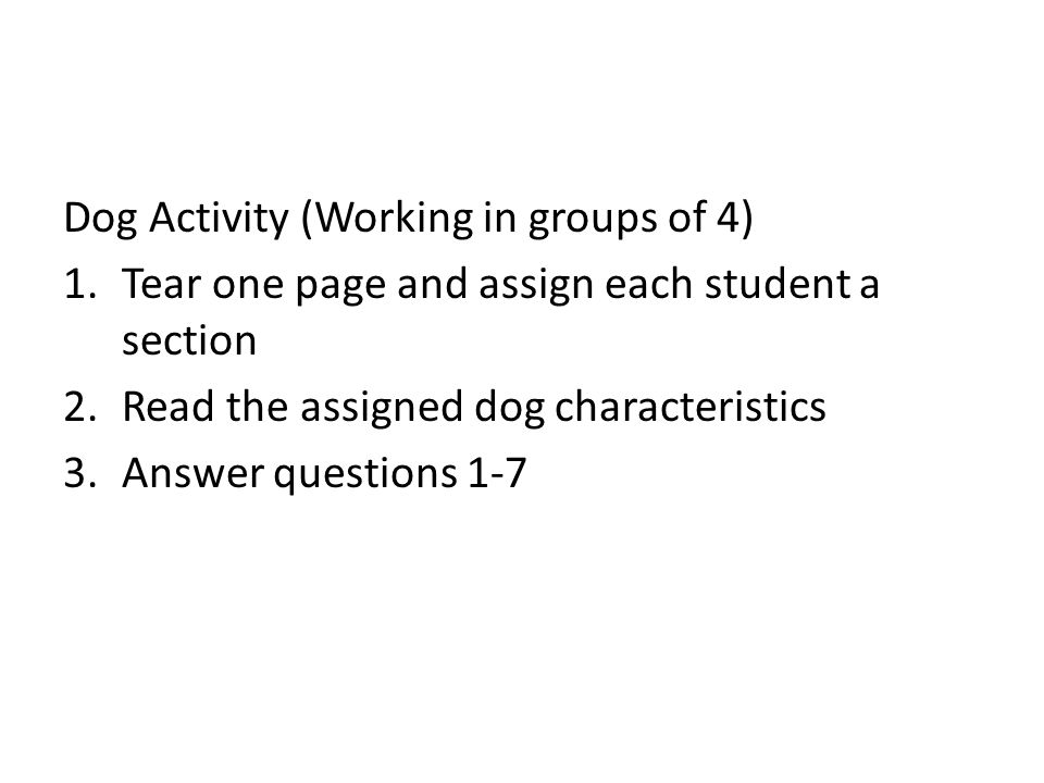 Dog Activity (Working in groups of 4) 1.Tear one page and assign each student a section 2.Read the assigned dog characteristics 3.Answer questions 1-7