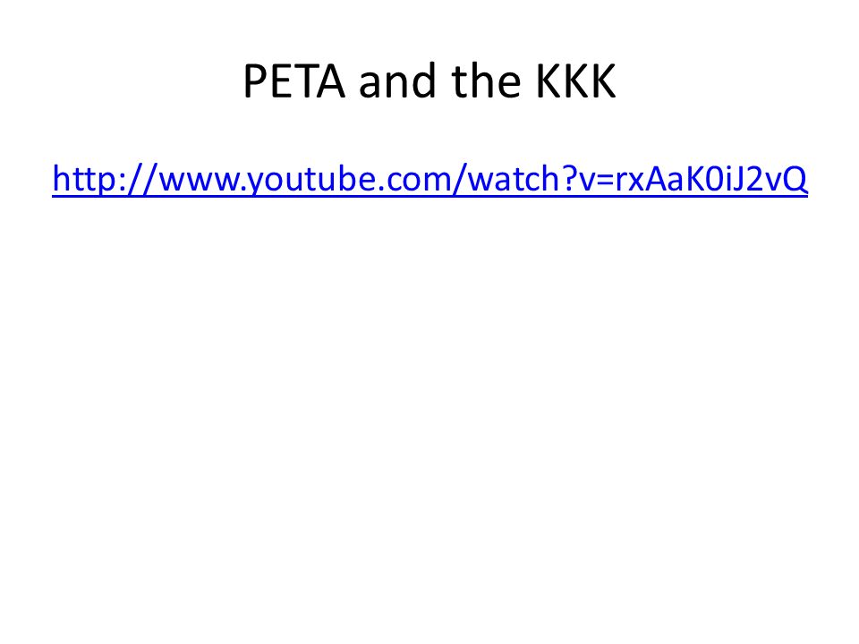PETA and the KKK   v=rxAaK0iJ2vQ