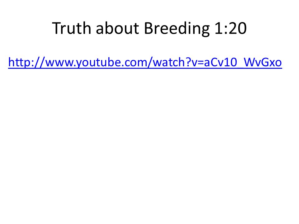 Truth about Breeding 1:20   v=aCv10_WvGxo