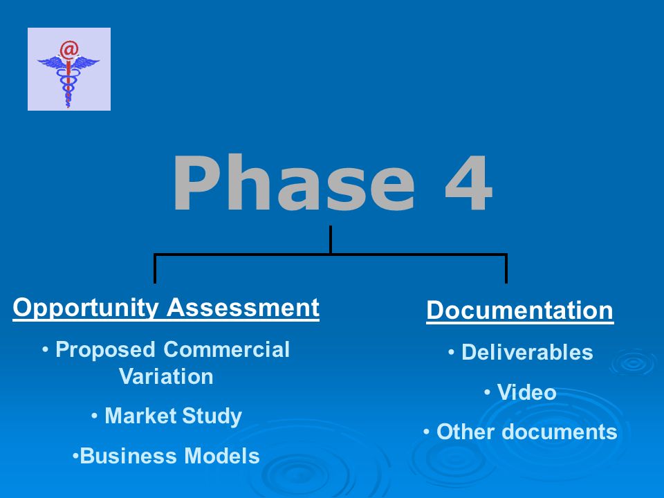 Opportunity Assessment Proposed Commercial Variation Market Study Business Models Documentation Deliverables Video Other documents