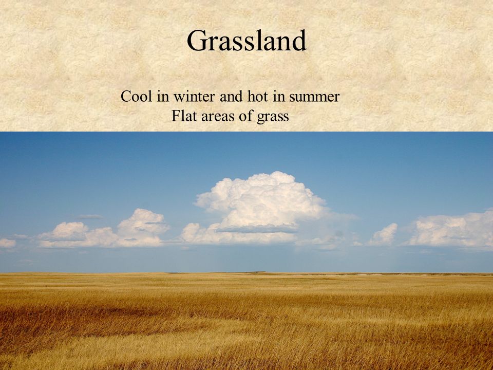 Grassland Cool in winter and hot in summer Flat areas of grass