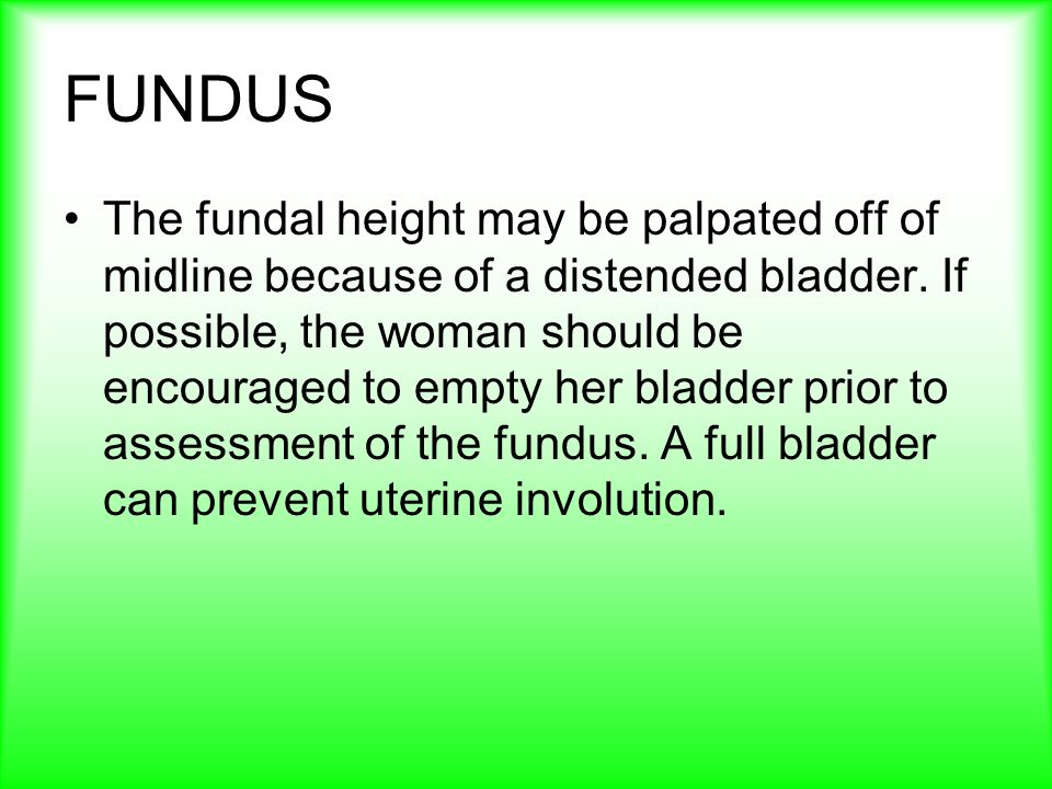 FUNDUS The fundal height may be palpated off of midline because of a distended bladder.