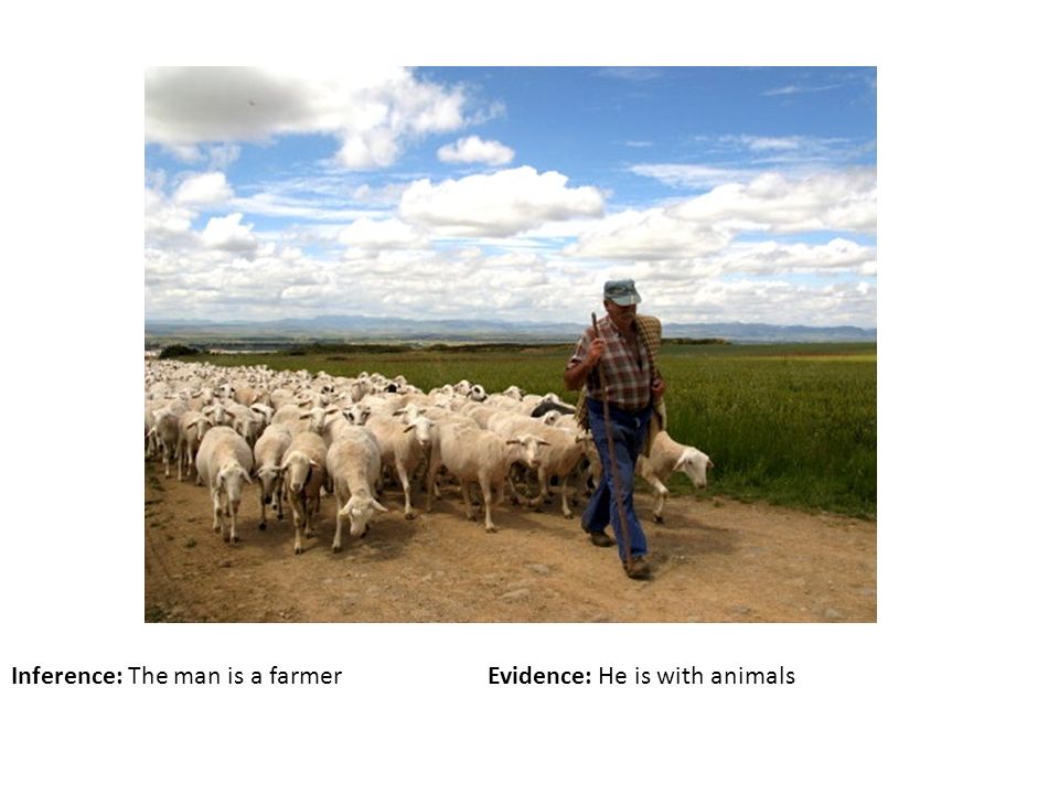 Inference: The man is a farmerEvidence: He is with animals