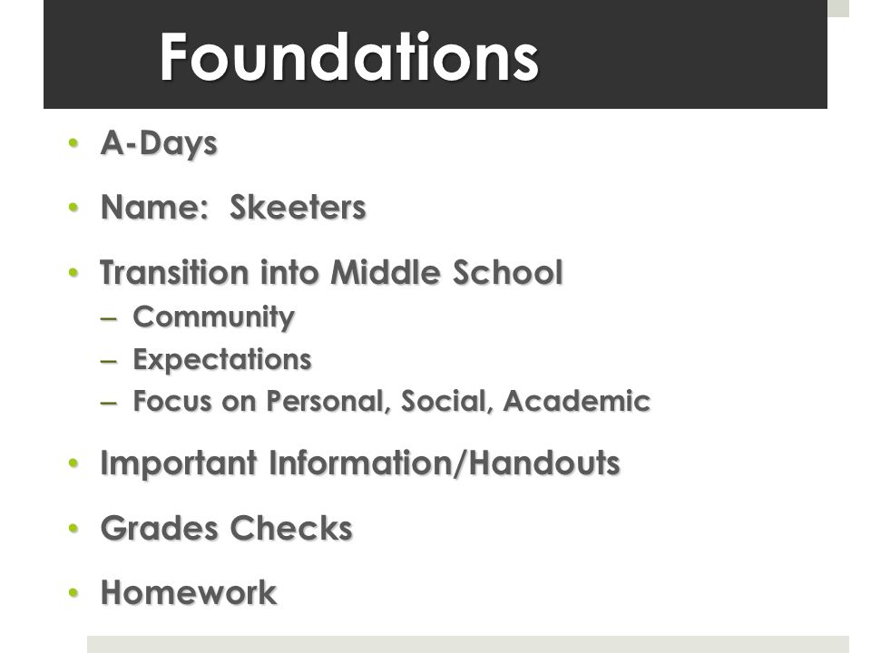 Foundations A-Days A-Days Name: Skeeters Name: Skeeters Transition into Middle School Transition into Middle School – Community – Expectations – Focus on Personal, Social, Academic Important Information/Handouts Important Information/Handouts Grades Checks Grades Checks Homework Homework