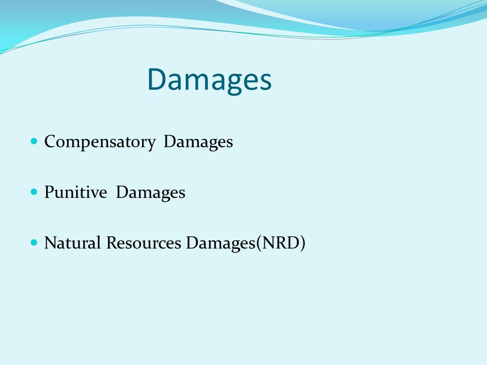 Damages Compensatory Damages Punitive Damages Natural Resources Damages(NRD)