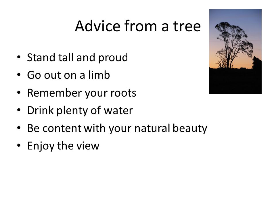 Advice from a tree Stand tall and proud Go out on a limb Remember your roots Drink plenty of water Be content with your natural beauty Enjoy the view
