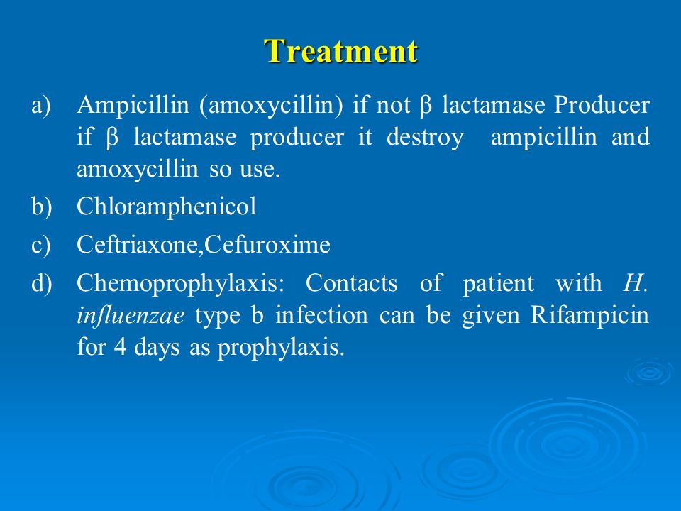 Treatment a) a)Ampicillin (amoxycillin) if not β lactamase Producer if β lactamase producer it destroy ampicillin and amoxycillin so use.