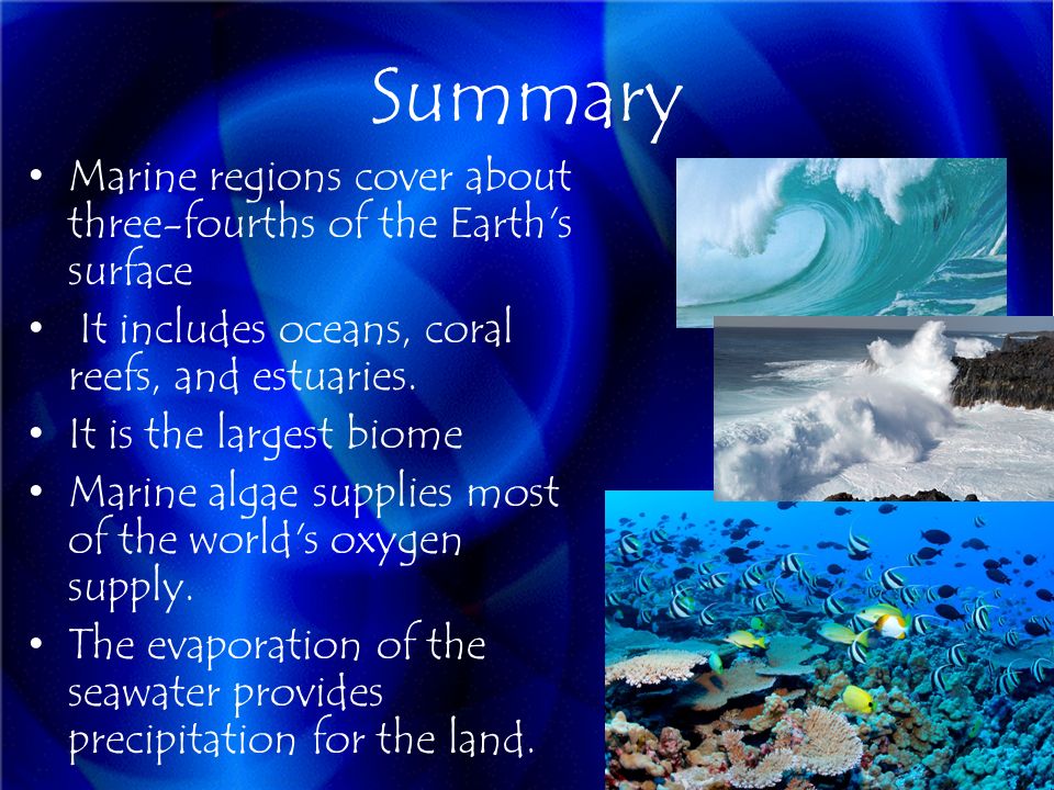 Summary Marine regions cover about three-fourths of the Earth s surface It includes oceans, coral reefs, and estuaries.