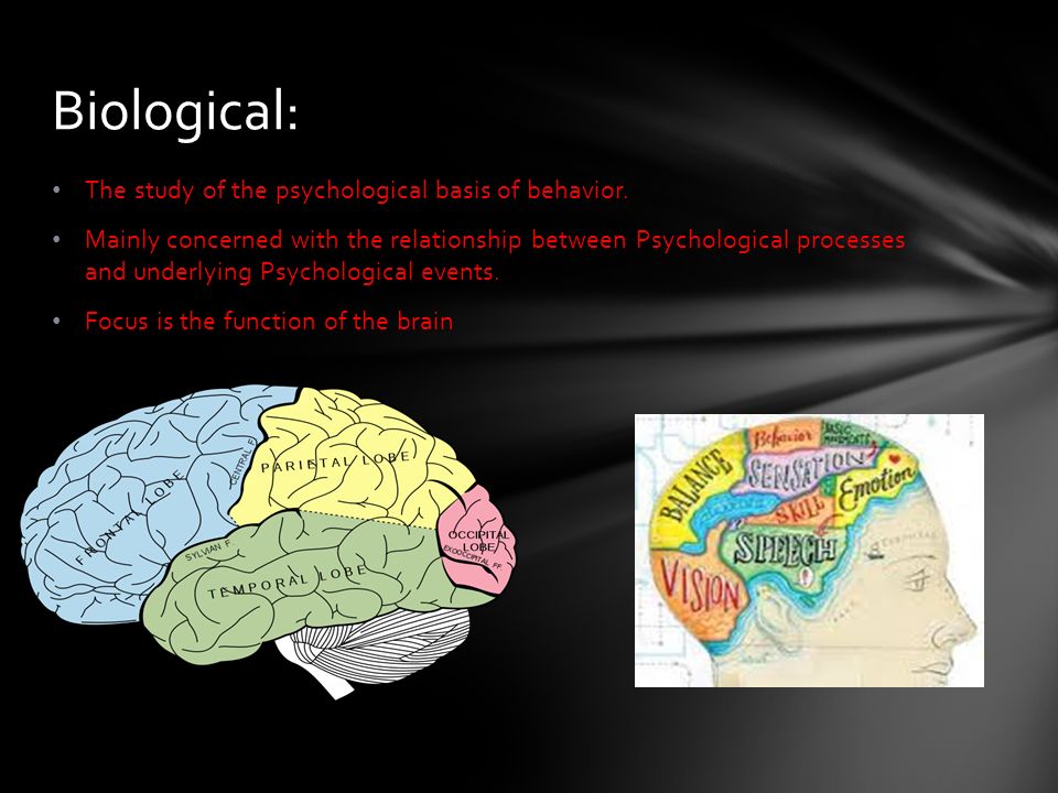 The study of the psychological basis of behavior.