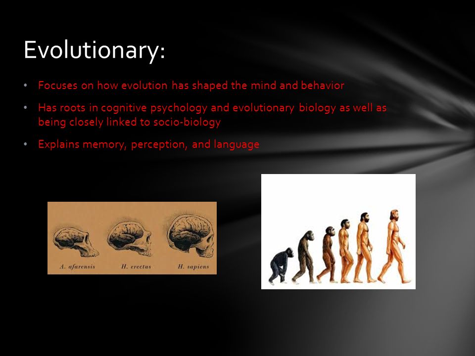 Focuses on how evolution has shaped the mind and behavior Has roots in cognitive psychology and evolutionary biology as well as being closely linked to socio-biology Explains memory, perception, and language Evolutionary: