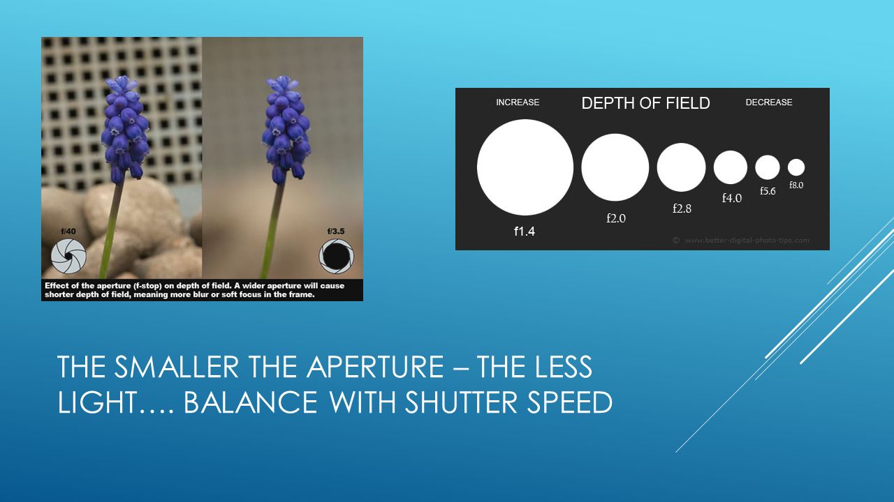THE SMALLER THE APERTURE – THE LESS LIGHT…. BALANCE WITH SHUTTER SPEED