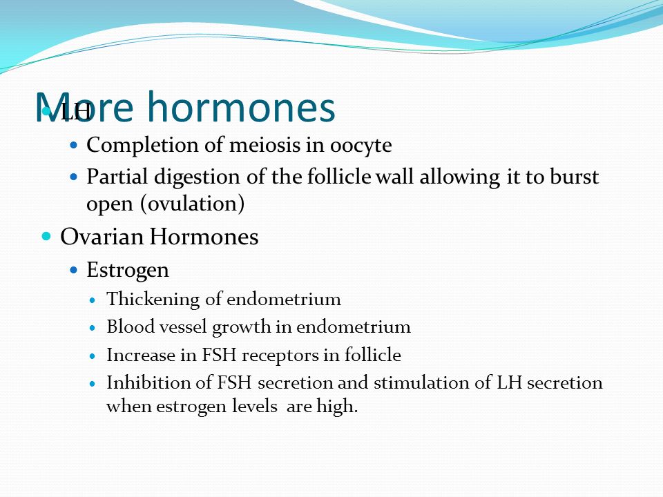 Brust östrogen mann [3.2.1] Östrogen