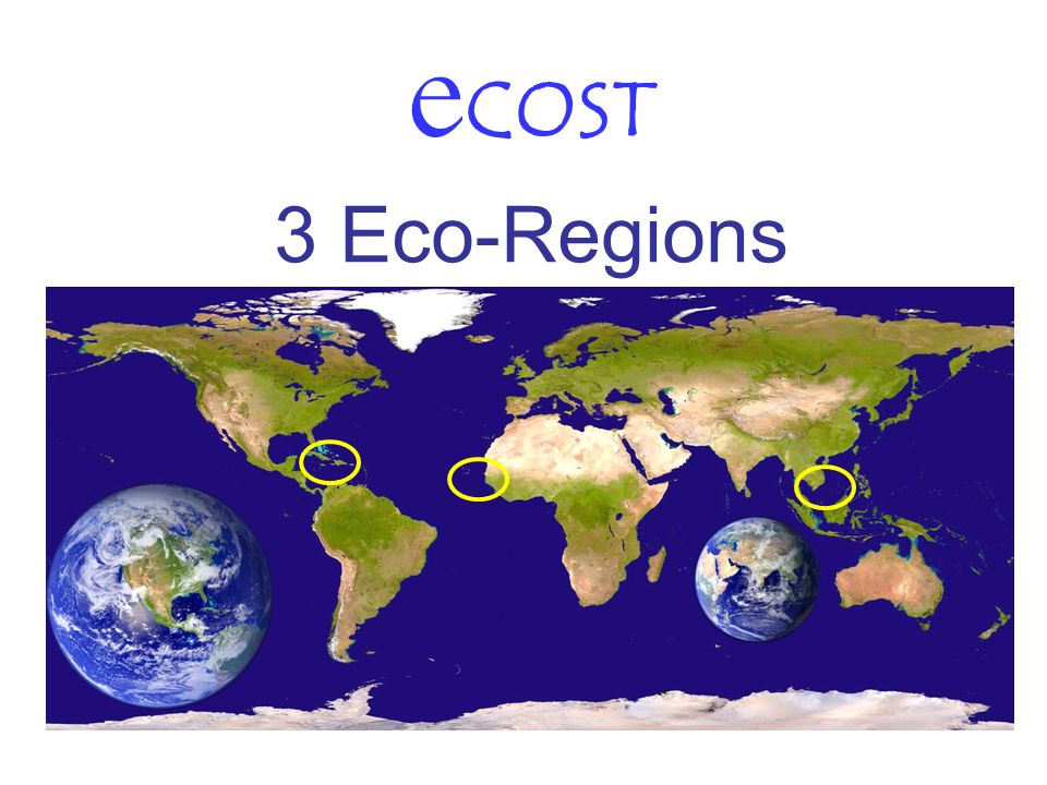 Ecosystems Societies Consilience Precautionary principle Development of an assessment method of the societal cost for best... 