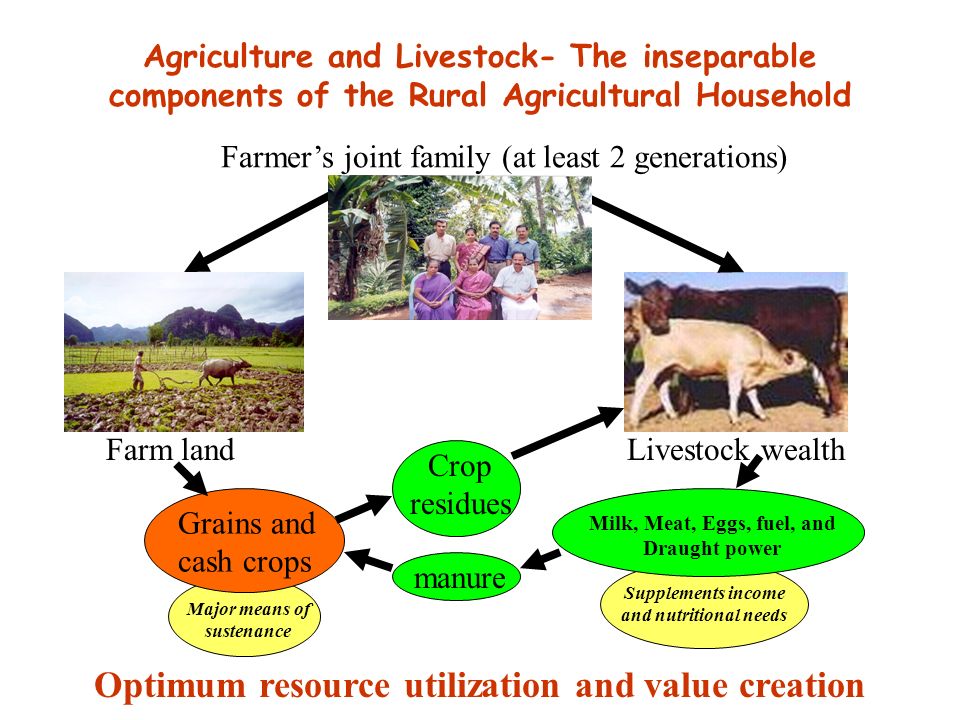Sustainable Agriculture and Livestock production for Food Security. - ppt  download