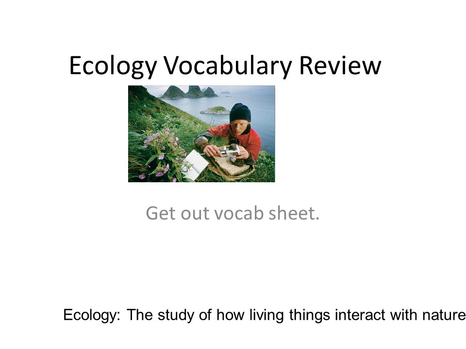 Ecology Vocabulary Review Get out vocab sheet.