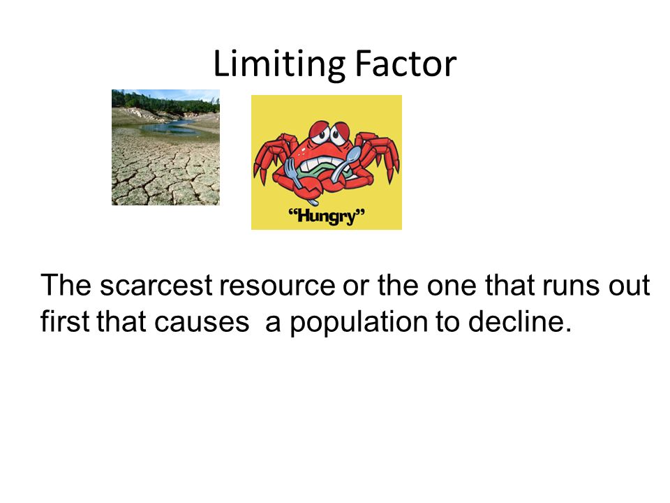 Limiting Factor The scarcest resource or the one that runs out first that causes a population to decline.
